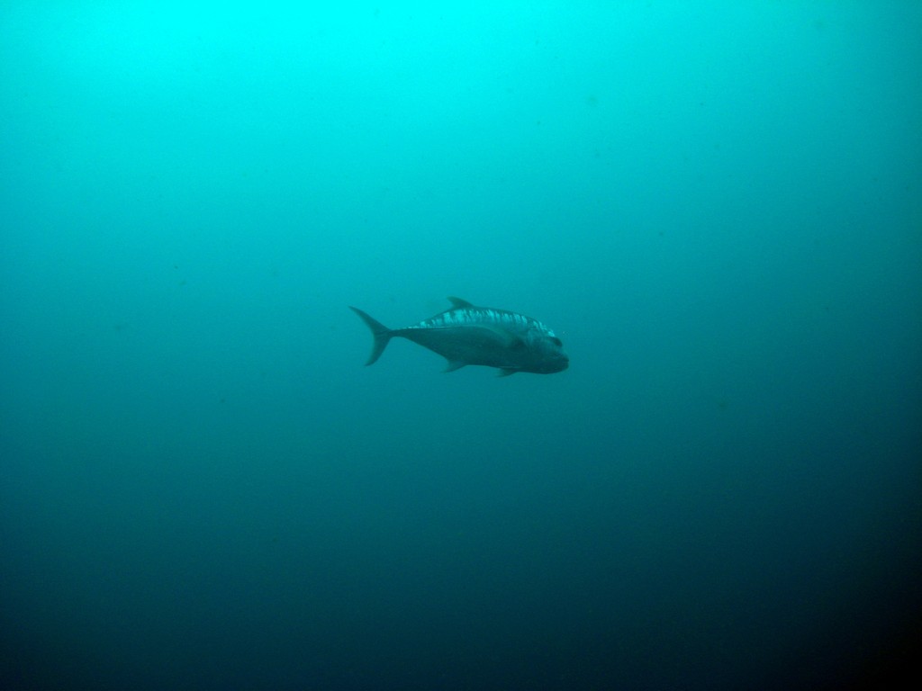 Филиппины 2014 Филиппины 2014