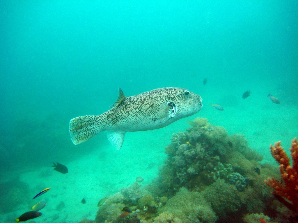 Филиппины 2014 Филиппины 2014