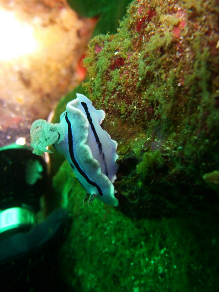 Филиппины 2014 Филиппины 2014