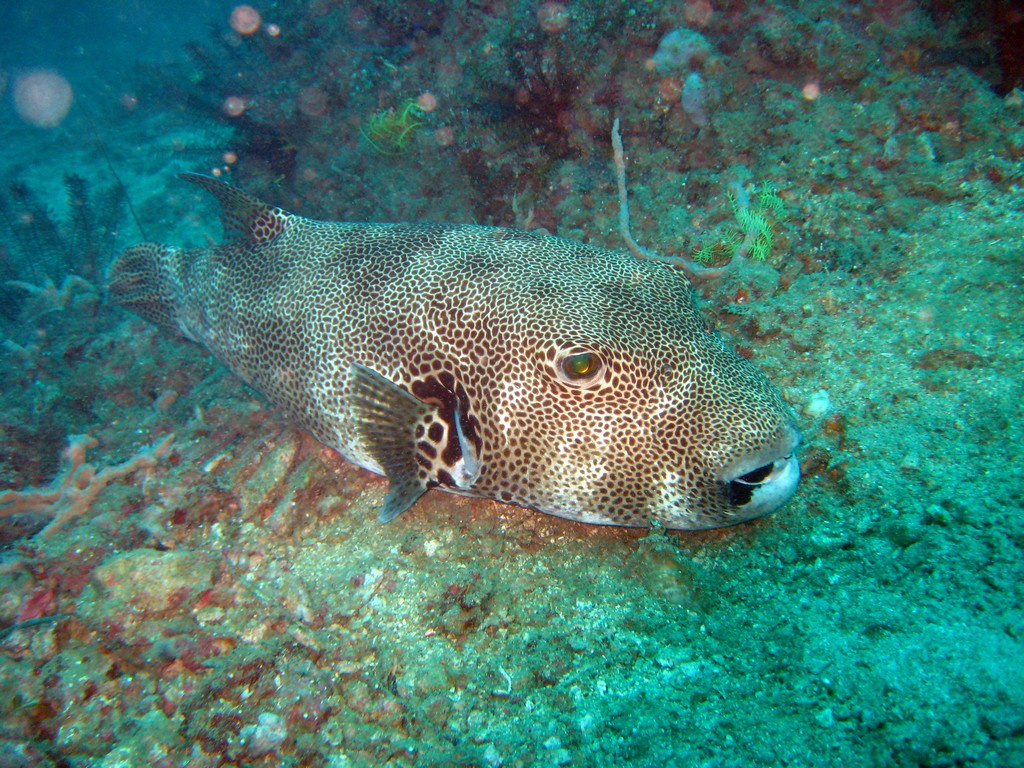 Филиппины 2014 Филиппины 2014