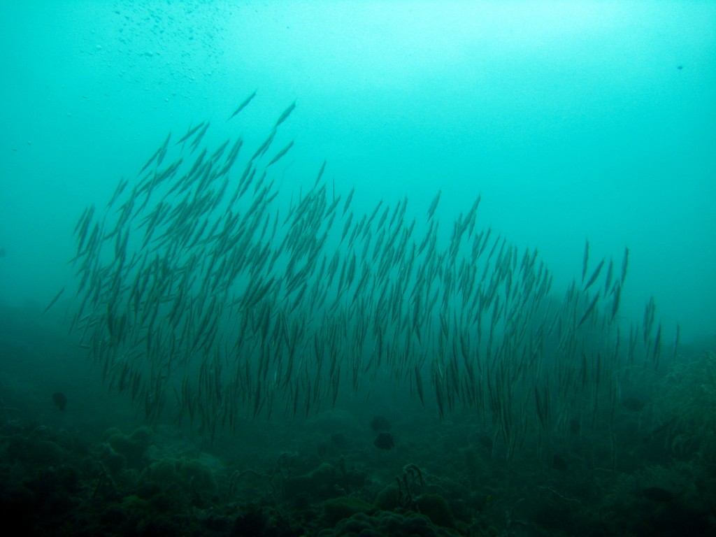 Филиппины 2014 Филиппины 2014