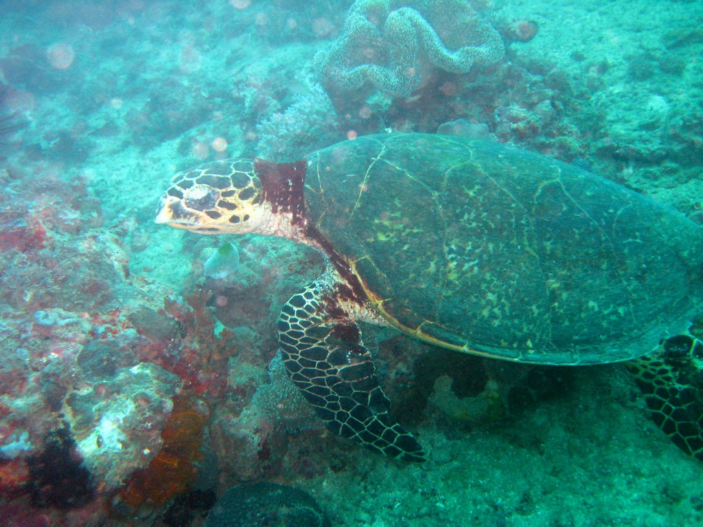 Филиппины 2014 Филиппины 2014