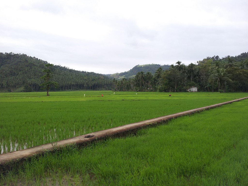 Филиппины 2014 Филиппины 2014