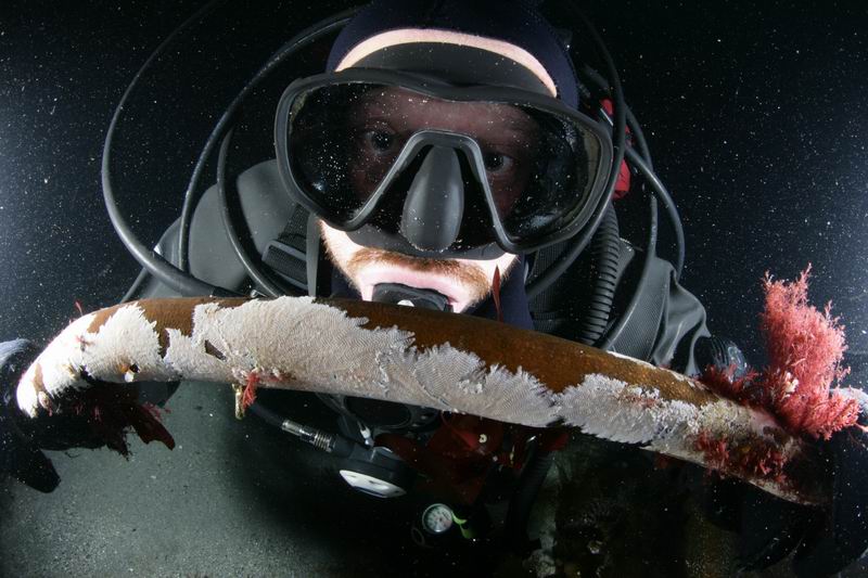 Пилот. Баренцево море. 13 - 19 августа 2007. Пилот. Баренцево море. 13 - 19 августа 2007.