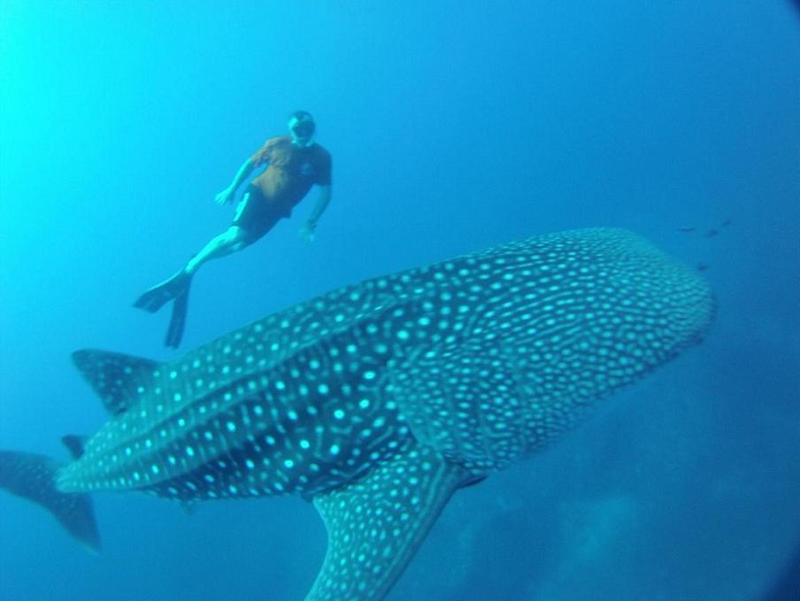 Таиланд, путешествие по островам, февраль 2014 Таиланд, путешествие по островам, февраль 2014