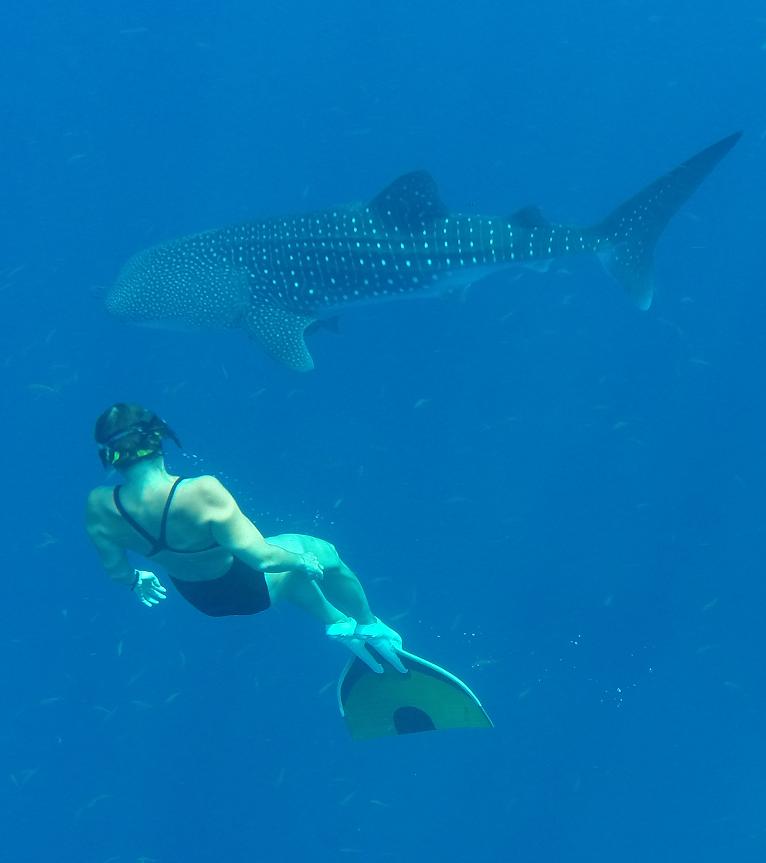 Таиланд, путешествие по островам, февраль 2014 Таиланд, путешествие по островам, февраль 2014