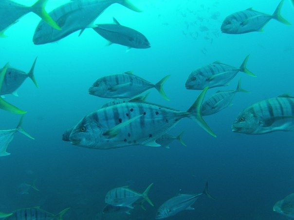 Тайланд 2014 Тайланд 2014