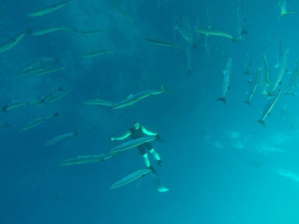 Тайланд 2014 Тайланд 2014