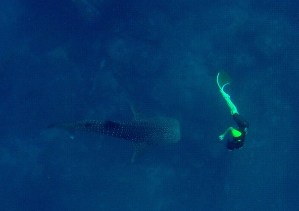 Тайланд 2014 Тайланд 2014