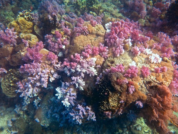 Тайланд 2014 Тайланд 2014