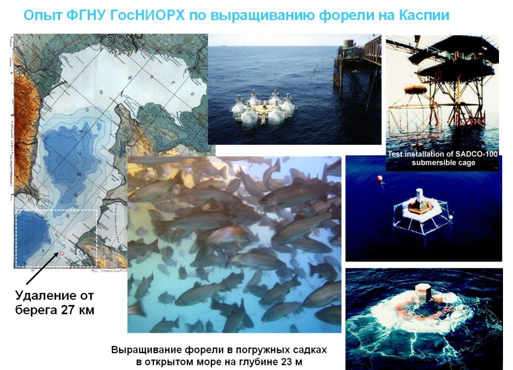 Прототипы погружных рыбоводных систем САДКО Прототипы погружных рыбоводных систем САДКО