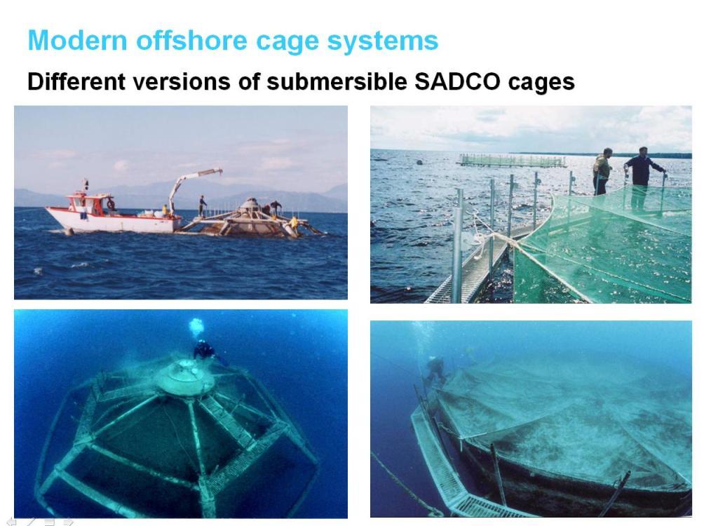 Современные версии погружной рыбоводной системы САДКО Современные версии погружной рыбоводной системы САДКО