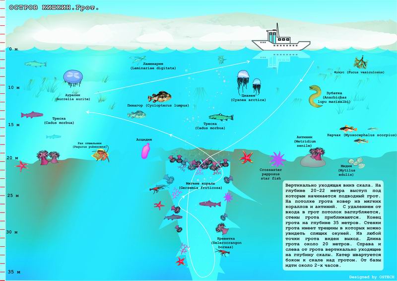 Нереис. Схемы мест погружений. Нереис. Схемы мест погружений.