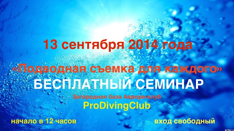Семинар подводной фото и видеосъемки Семинар подводной фото и видеосъемки