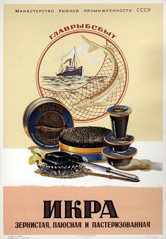 333333333333 333333333333