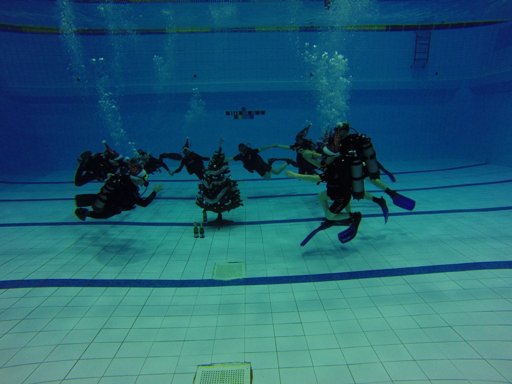 Новый год в клубе Тримикс Новый год в клубе Тримикс