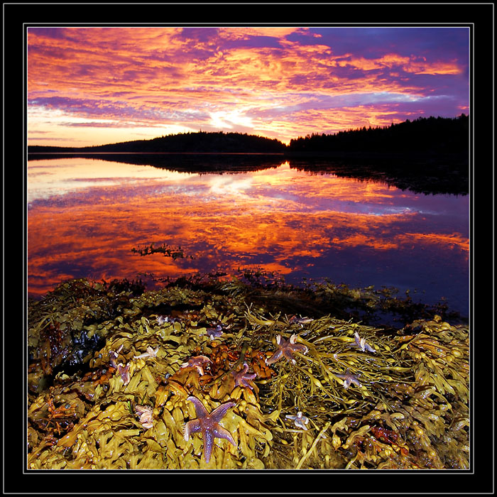 Рассвет на Белом море. Рассвет на Белом море.