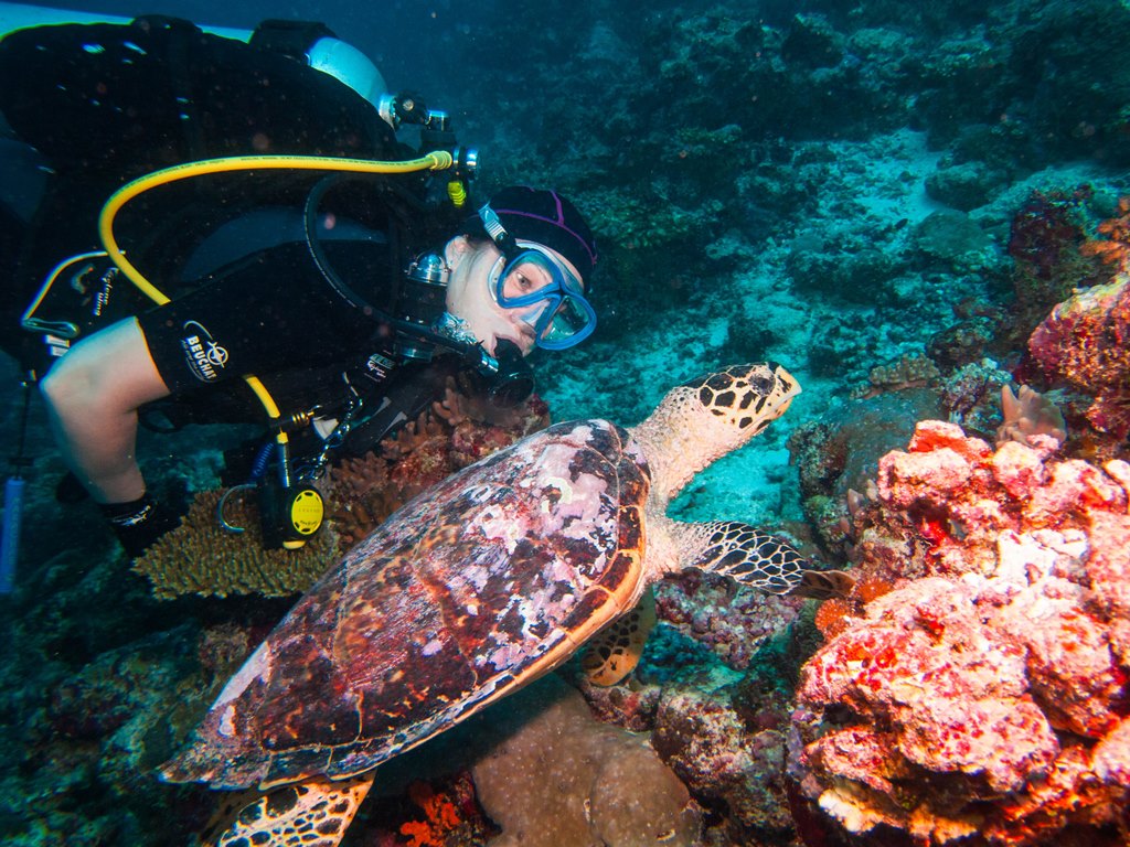 мальдивы 2015 мальдивы 2015