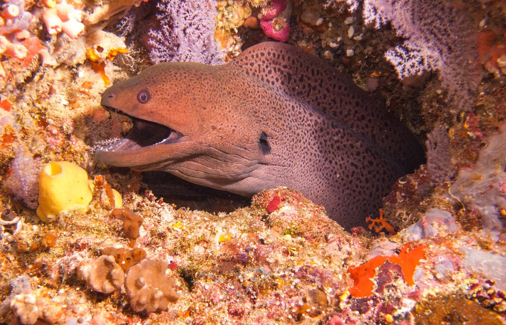 мальдивы 2015 мальдивы 2015