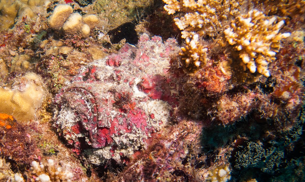 мальдивы 2015 мальдивы 2015