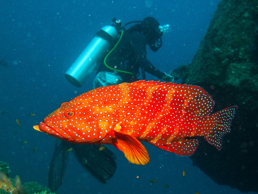 мальдивы 2015 мальдивы 2015