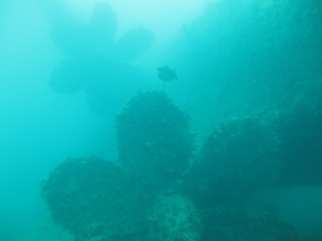 Лиинахамари Лиинахамари