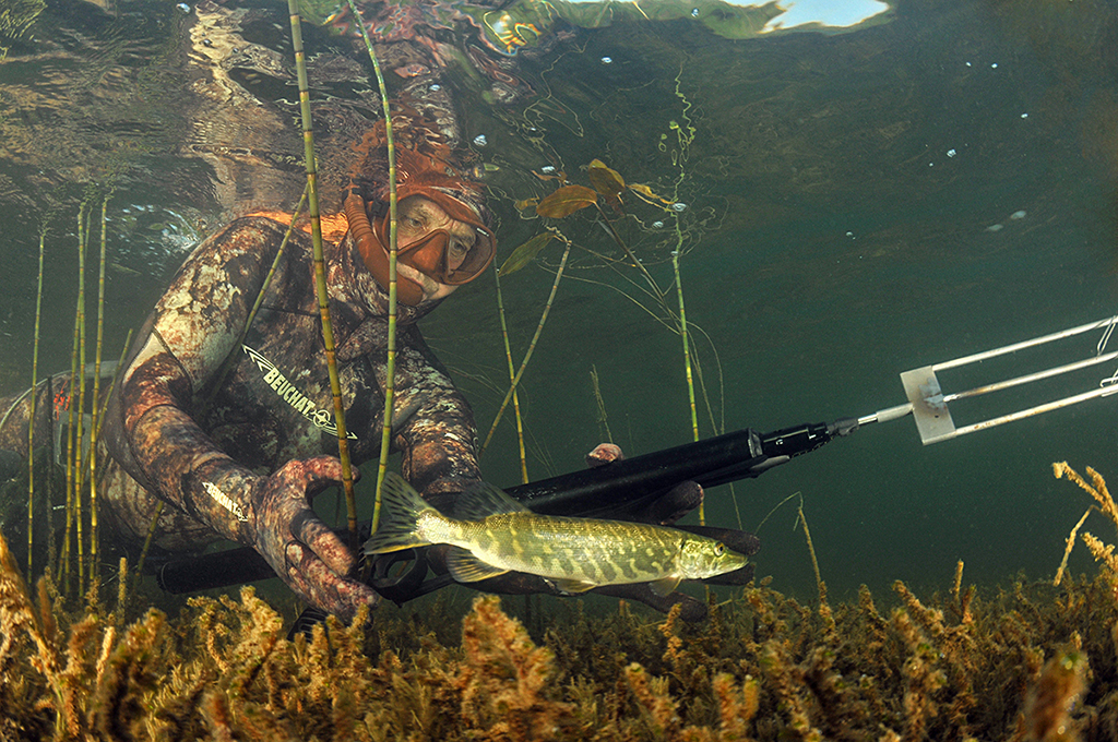Бушафест 2015. Человек-легенда. Бушафест 2015. Человек-легенда.