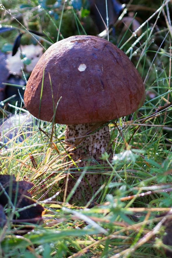 Ладога 25-27.09.2015 Ладога 25-27.09.2015