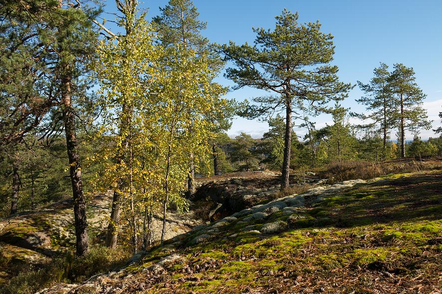 Ладога 25-27.09.2015 Ладога 25-27.09.2015