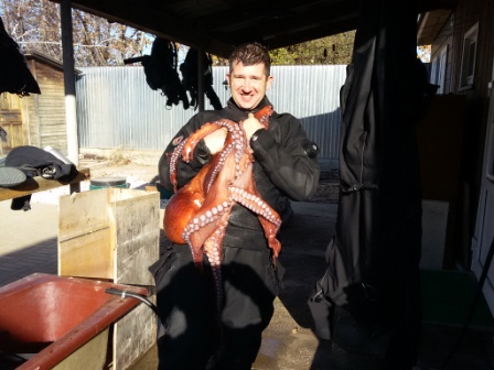 Осьминог смычка 5 Осьминог смычка 5