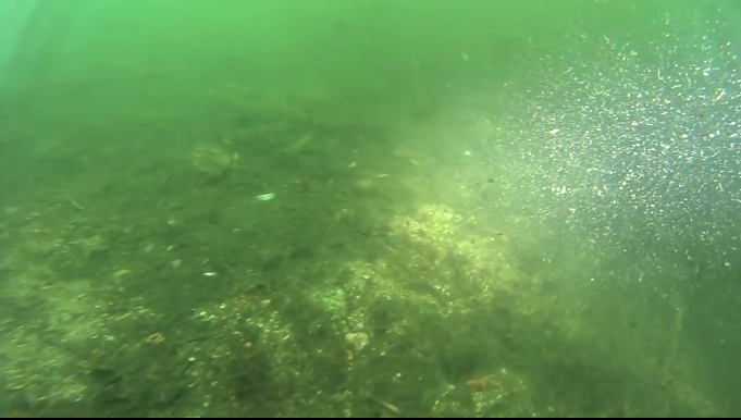 Облако мути перед фонарем без арма 1 Облако мути перед фонарем без арма 1