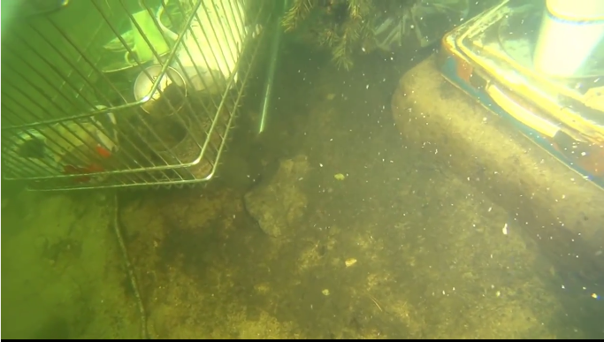 Облако мути перед фонарем без арма 3 Облако мути перед фонарем без арма 3