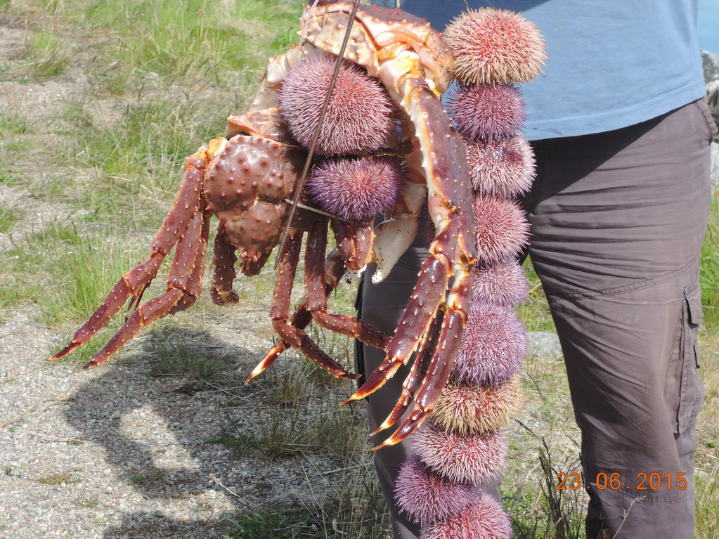Бугоунес. Бугоунес.