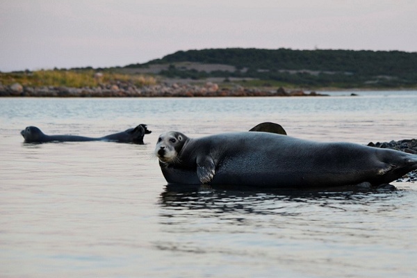 как то так как то так