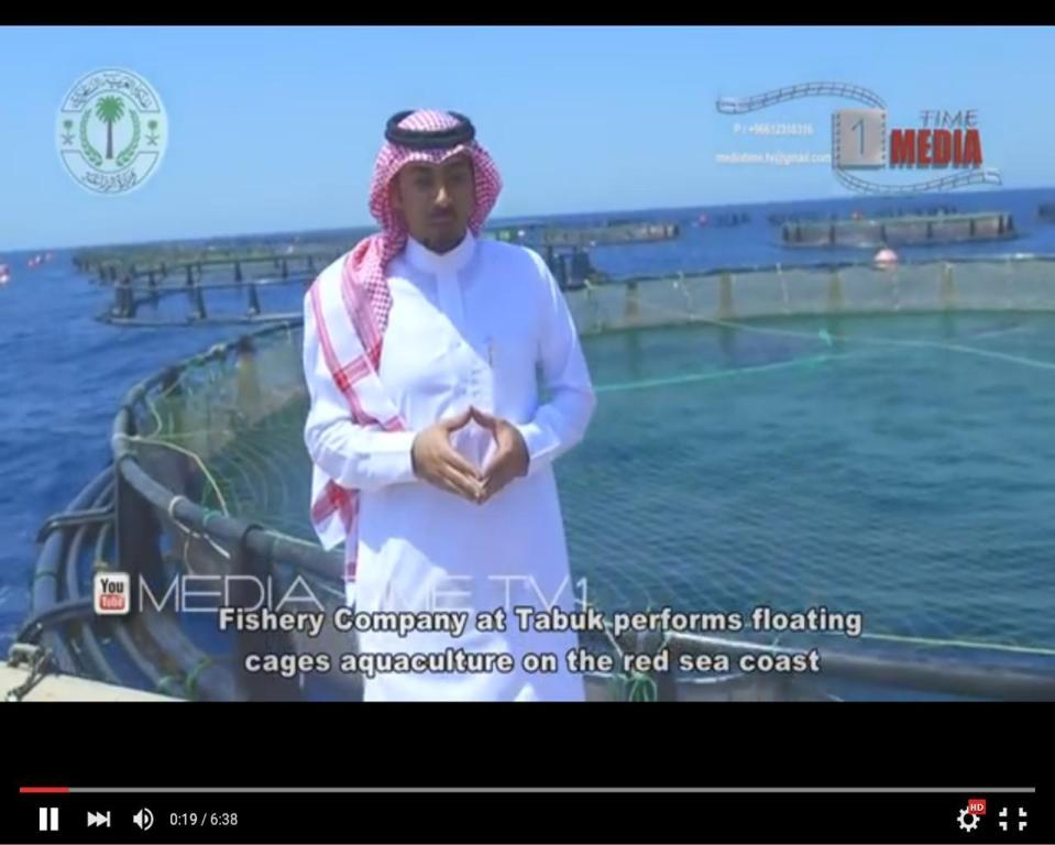 Рыбоводная ферма на Красном море Рыбоводная ферма на Красном море