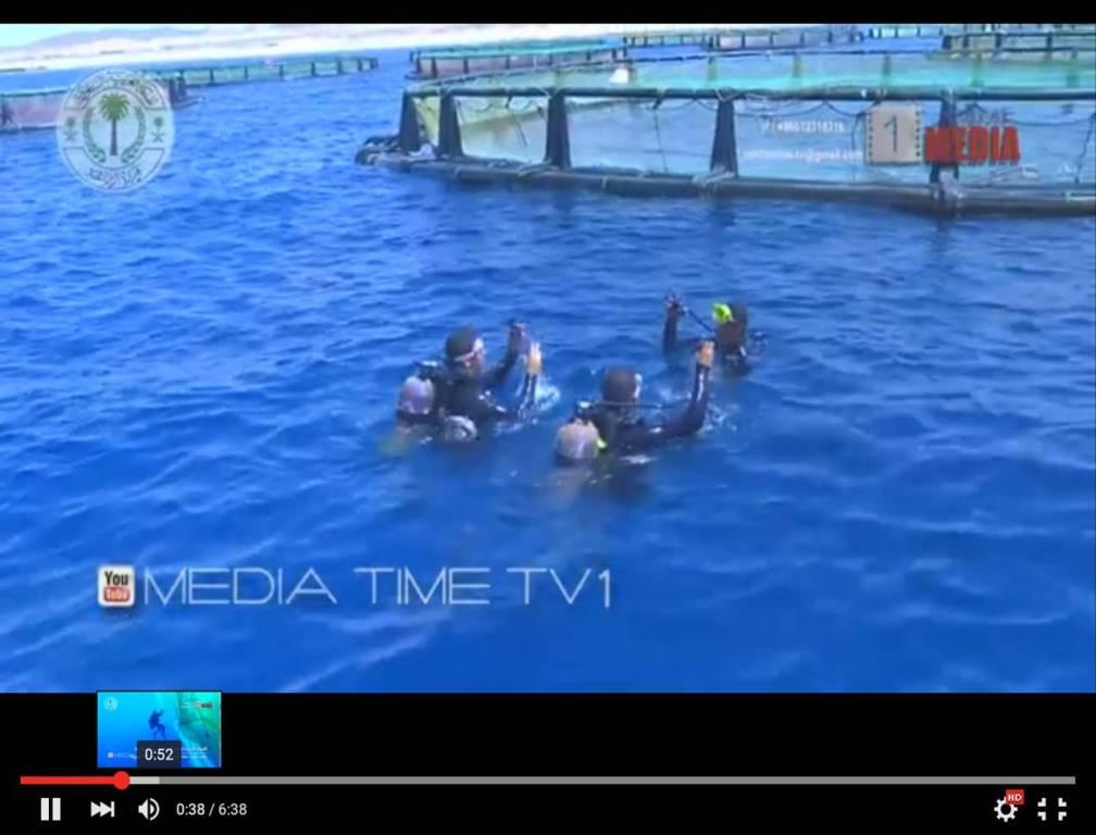 Рыбоводная ферма на Красном море Рыбоводная ферма на Красном море