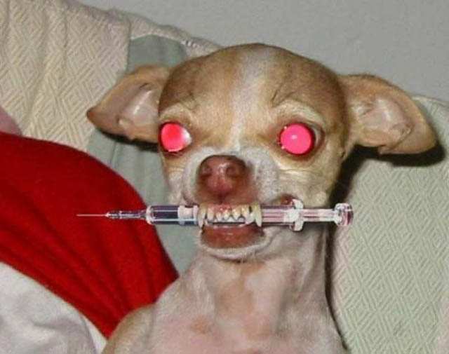 нет наркотикам нет наркотикам