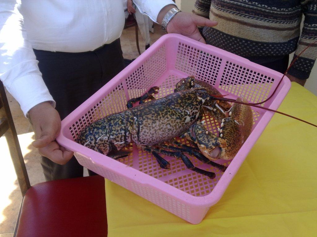 Марокко Марокко