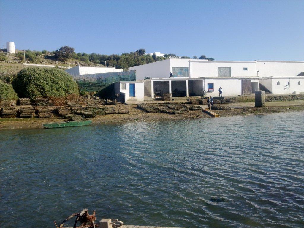 Марокко Марокко