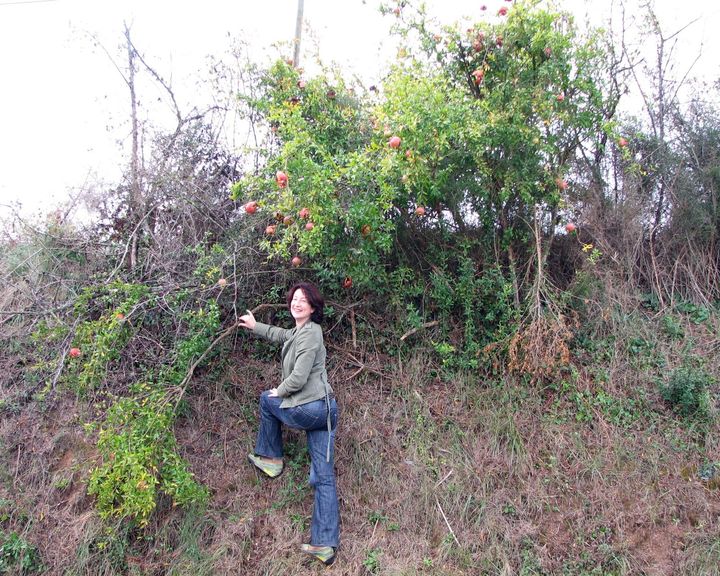 Испания Испания