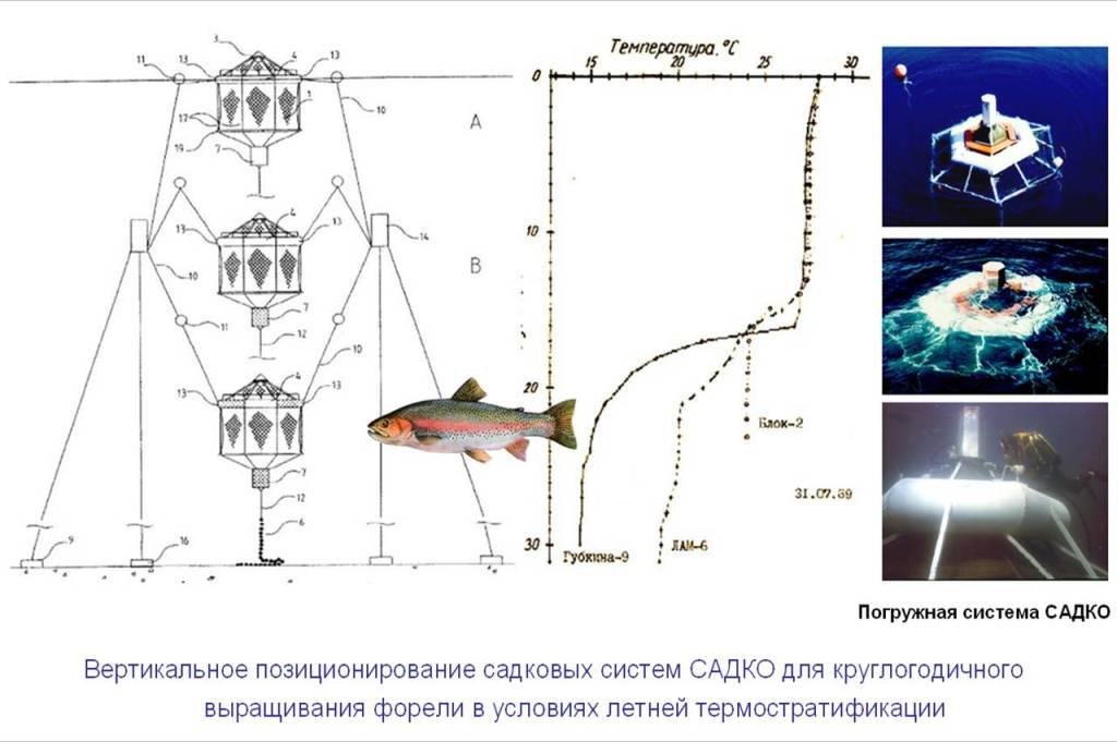 Термостратификация на Каспии Термостратификация на Каспии