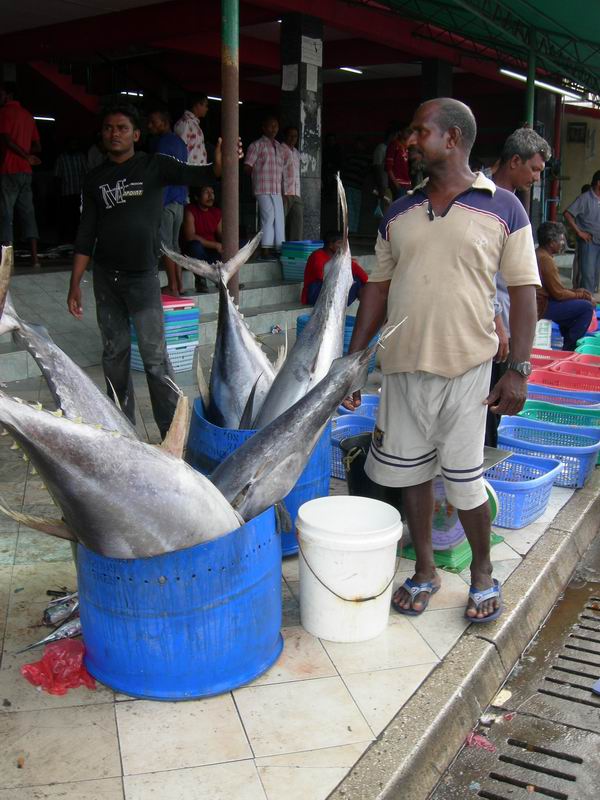 Мальдивы. Мальдивы.