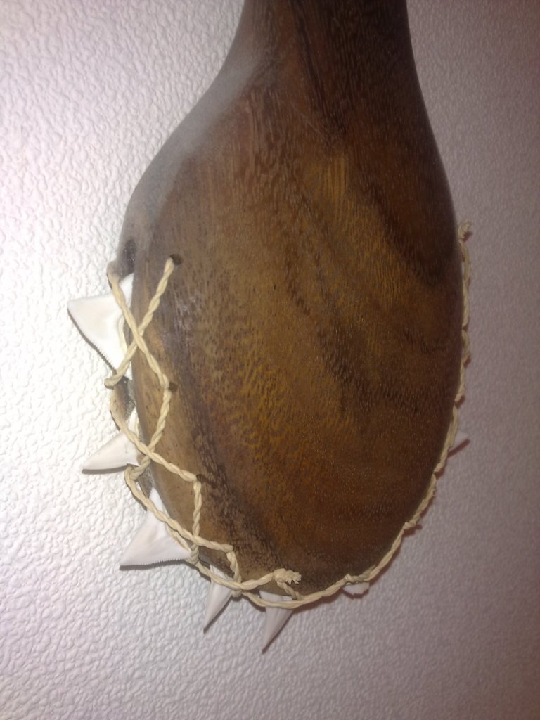 Акулья палица Акулья палица