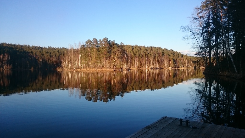 новая база новая база