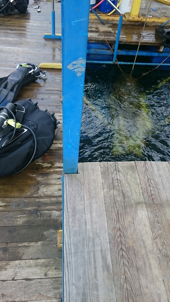 новая база новая база