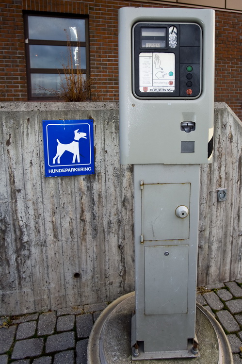 Картеш в Норвегии 28.10 – 02.11. Собачья парковка. Картеш в Норвегии 28.10 – 02.11. Собачья парковка.