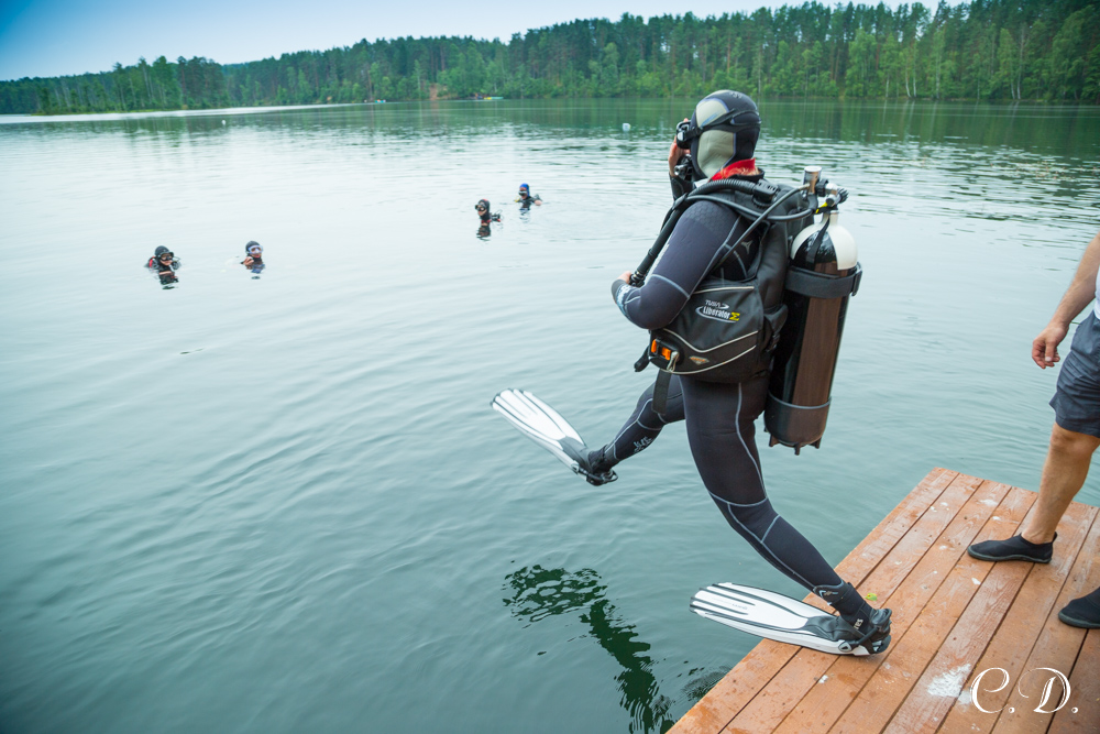 аврора аврора