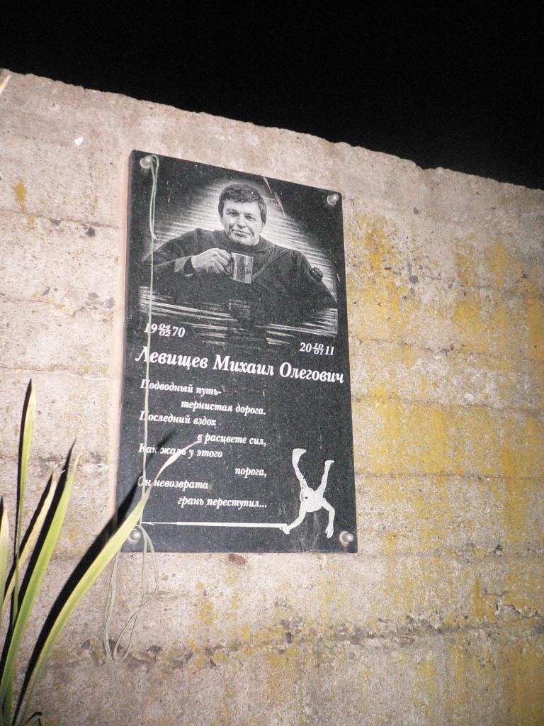 Радиогубитель (Михаил Левищев) Радиогубитель (Михаил Левищев)