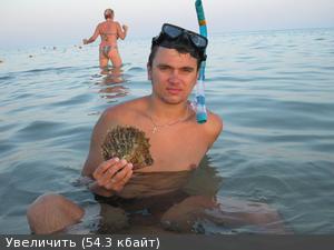 Александр Зайцев Александр Зайцев