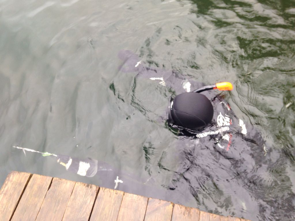 подвохи подвохи